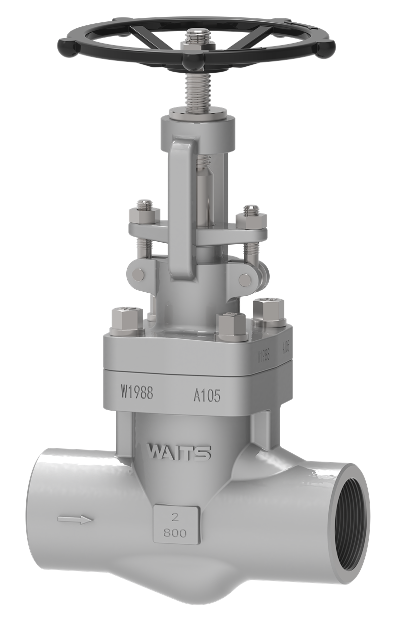 Forged Steel Globe Valve-NPT