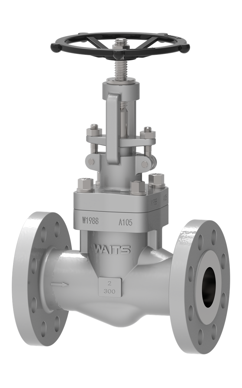 Forgefd Globe Valve